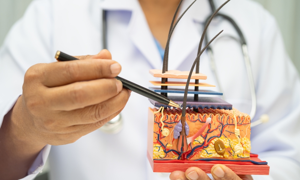 Jačanje folikula hranljivim sastojcima